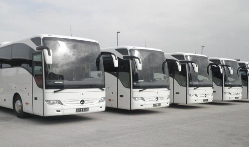 Hajdú-Bihar: Bus company in Debrecen in Debrecen and Hungary