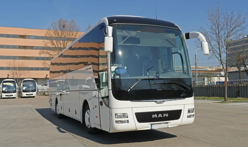 Bihor County: Buses operator in Oradea in Oradea and Romania