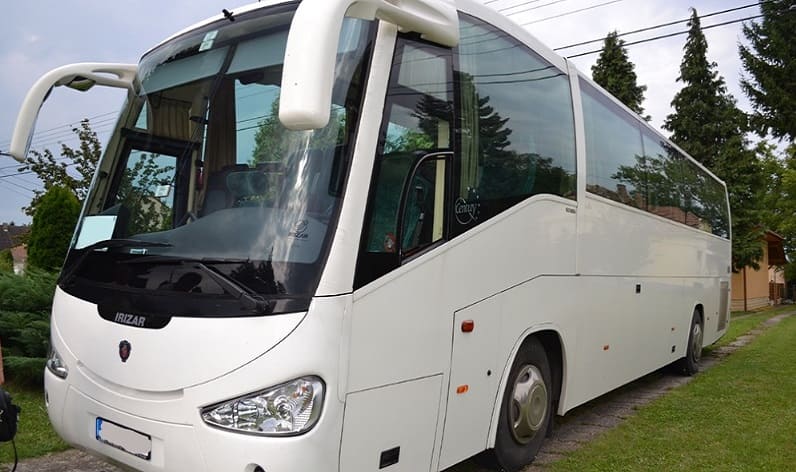 Satu Mare County: Buses rental in Satu Mare in Satu Mare and Romania